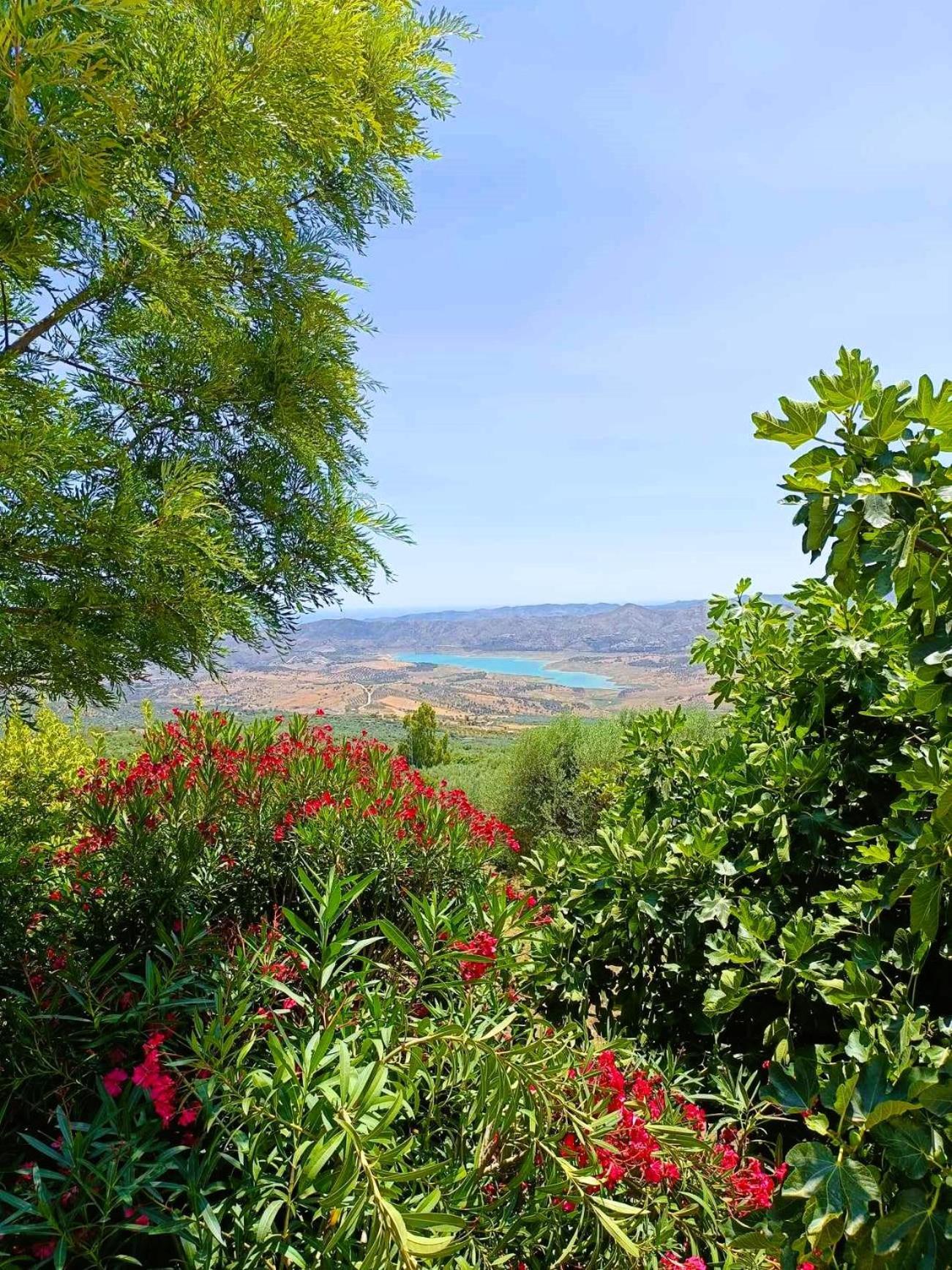 Casa Shyshka Country Cottage Periana Bagian luar foto