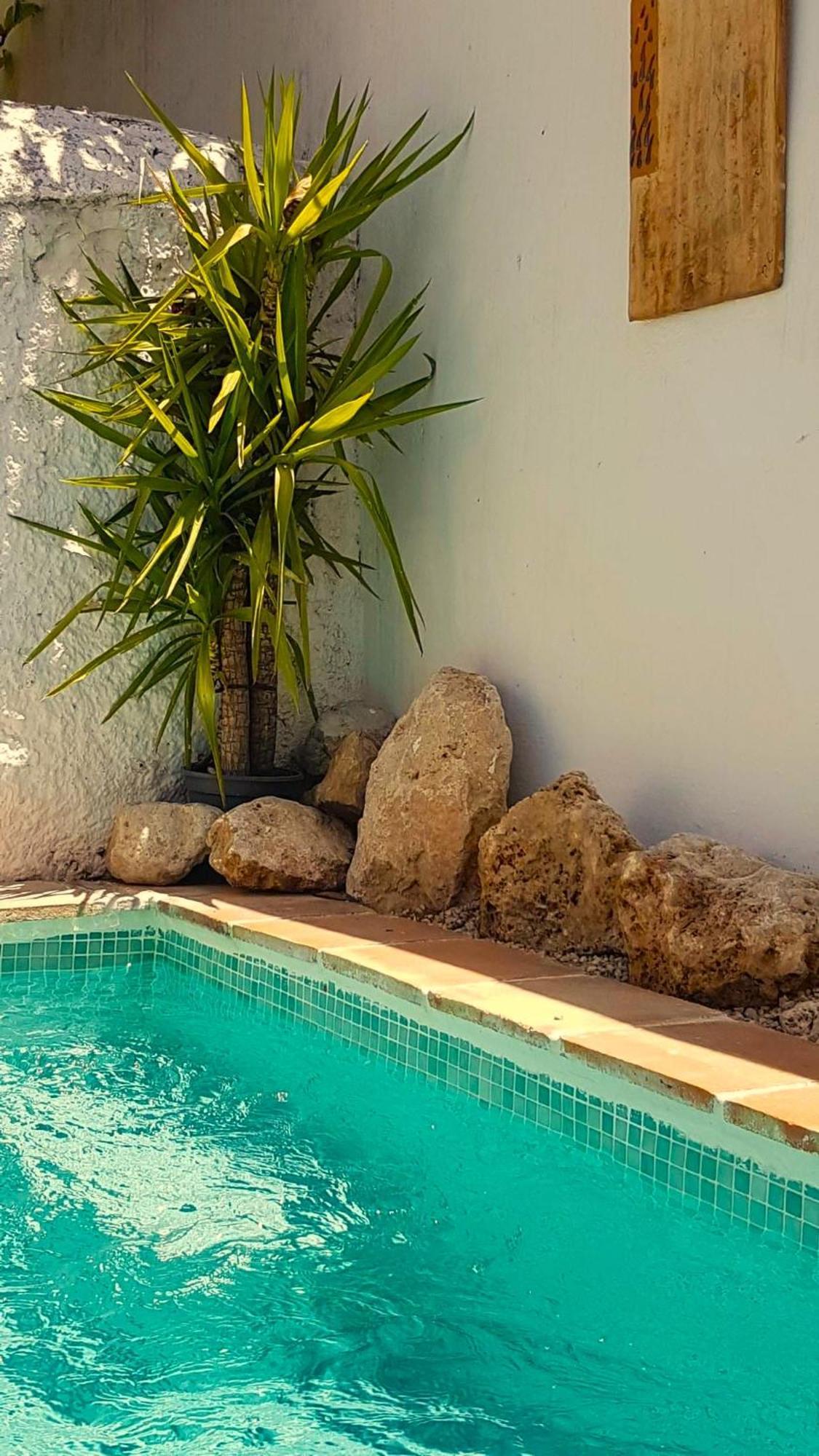 Casa Shyshka Country Cottage Periana Bagian luar foto